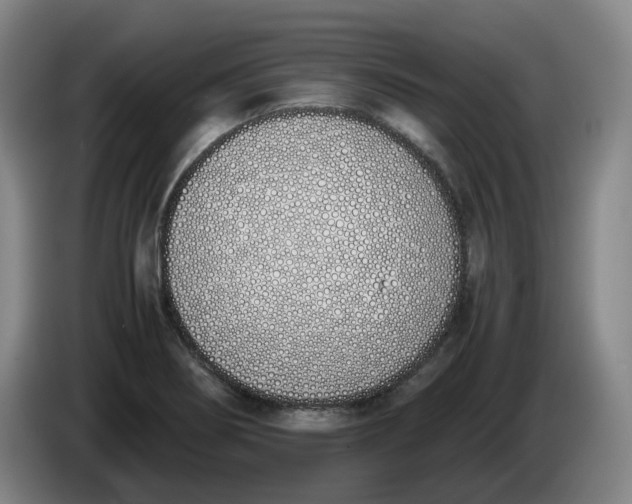 X0000086341274200704202054