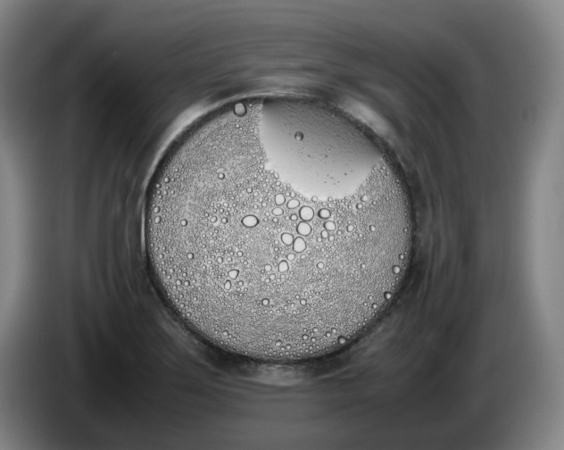 X0000086341275200704202054