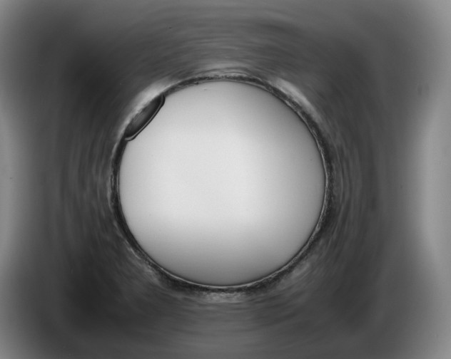 X0000086341277200704202054