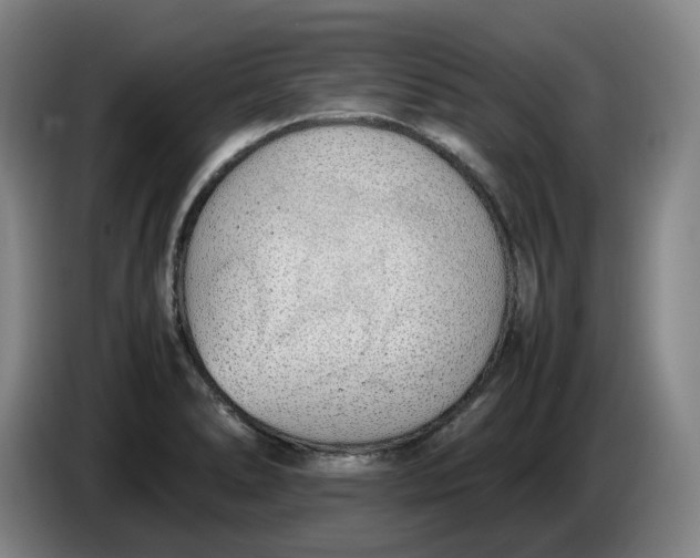 X0000086341278200704202054