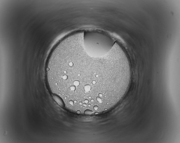 X0000086341279200704202054