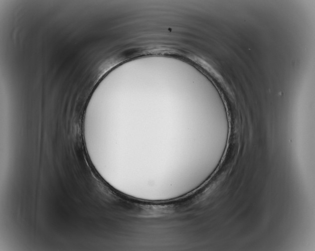 X0000086341281200704202054