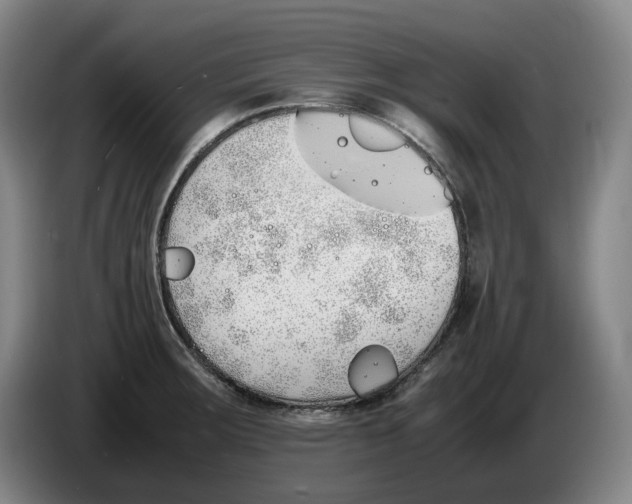 X0000086341283200704202054