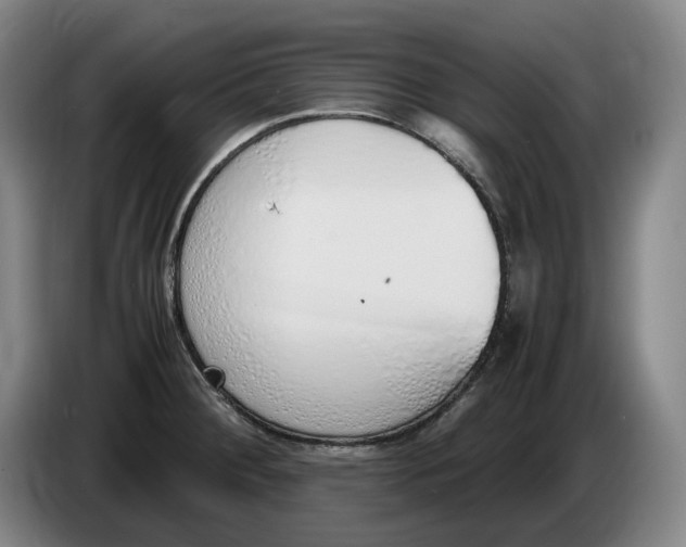 X0000086341284200704202054
