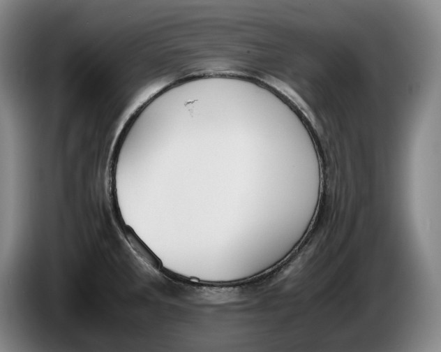 X0000086341285200704202054
