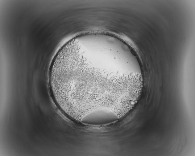 X0000086341287200704202054