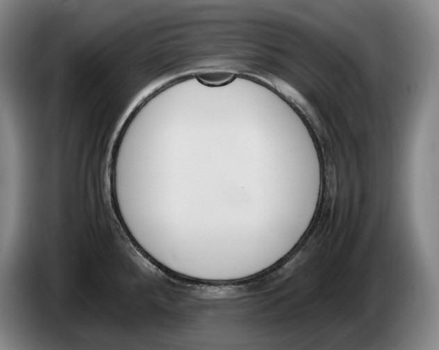 X0000086341288200704202054