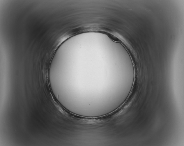 X0000086341289200704202054