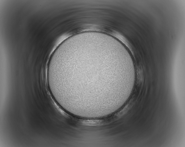 X0000086341290200704202054