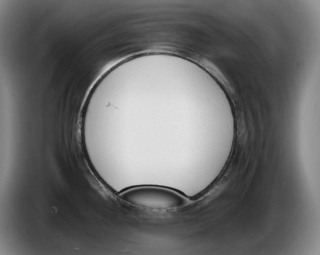 X0000086341292200704202054
