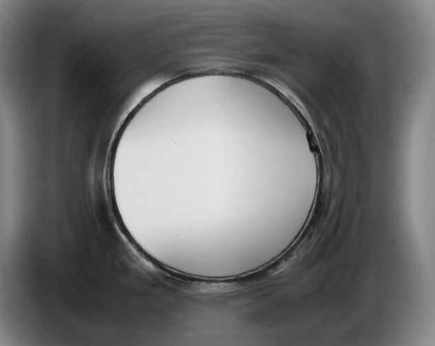 X0000086341293200704202054