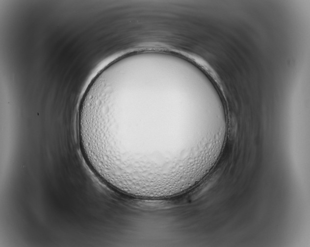 X0000086341295200704202054
