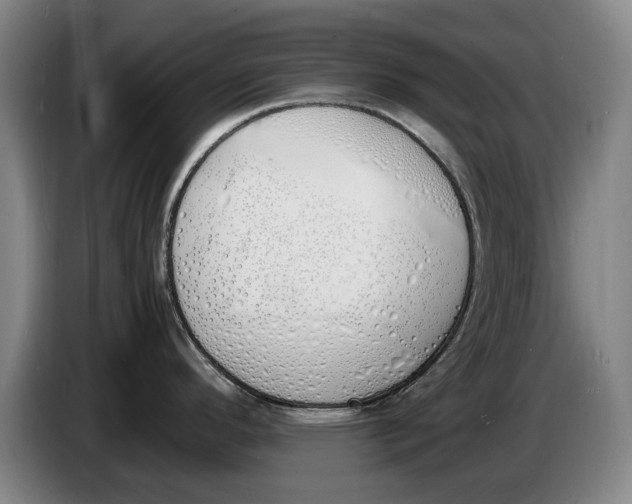 X0000086341296200704202054