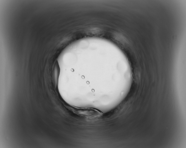 X0000086341297200704202053