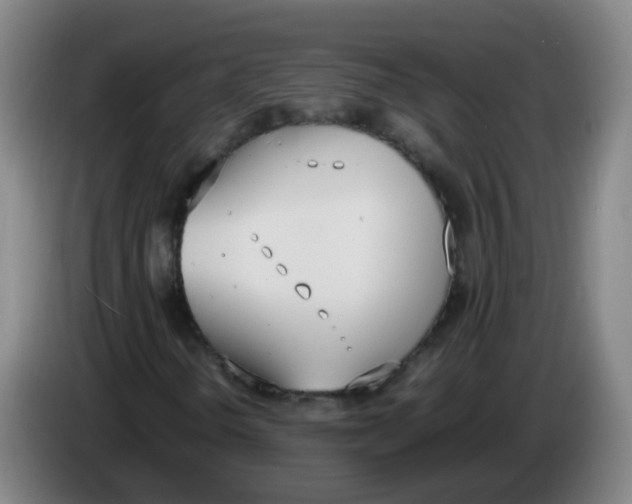 X0000086341298200704202053
