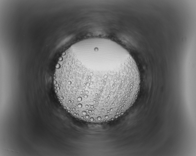 X0000086341302200704202053