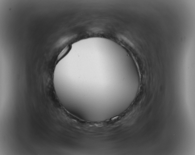 X0000086341303200704202053