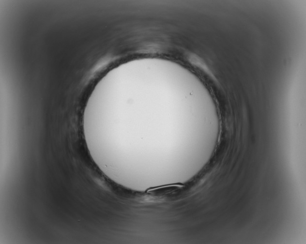 X0000086341304200704202053