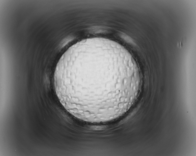 X0000086341305200704202053