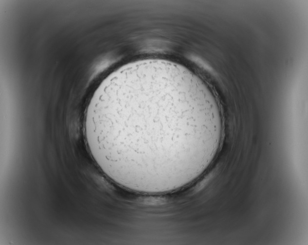 X0000086341306200704202053