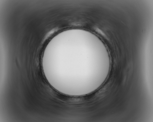 X0000086341307200704202053