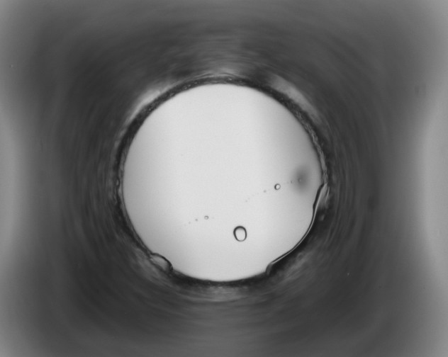 X0000086341308200704202053