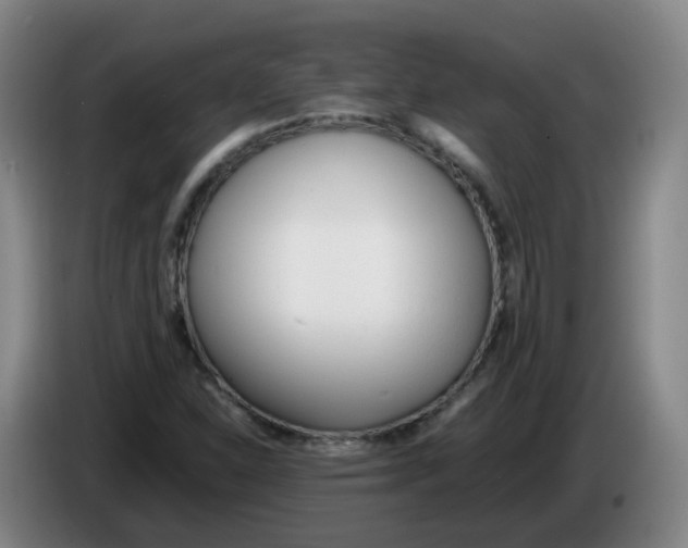X0000086341310200704202053