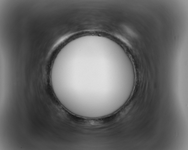 X0000086341311200704202053