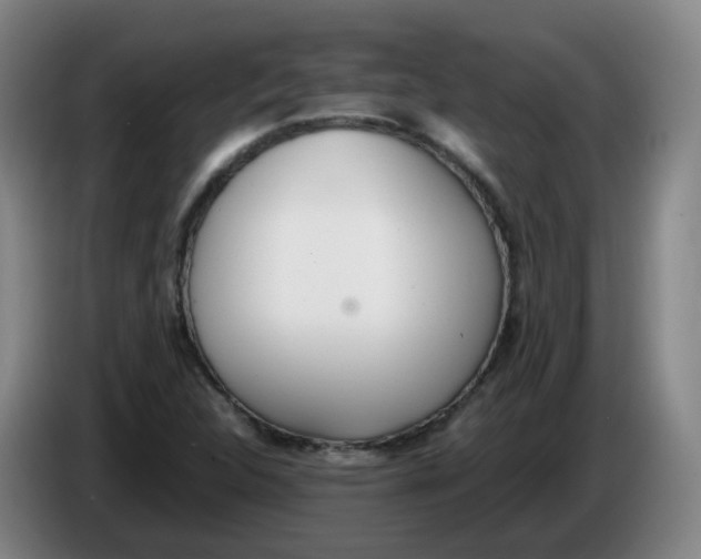 X0000086341312200704202053