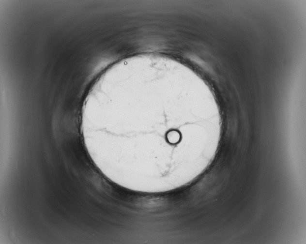 X0000086341314200704202053