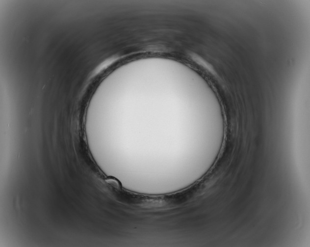 X0000086341315200704202053