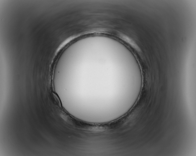 X0000086341316200704202053