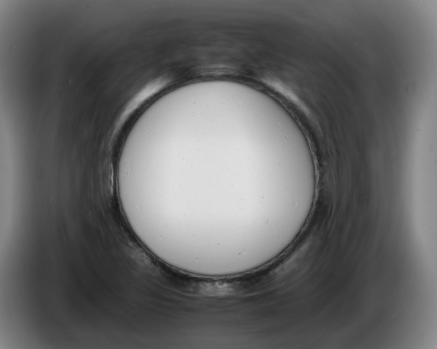 X0000086341317200704202053