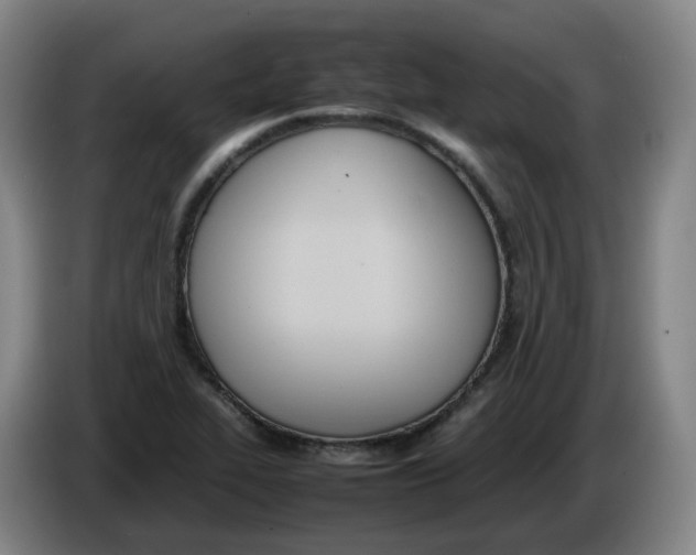 X0000086341319200704202053