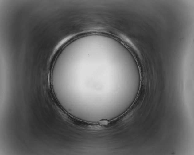 X0000086341320200704202053