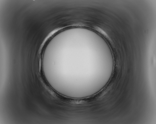 X0000086341323200704202053