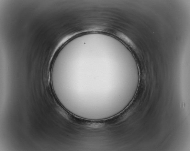 X0000086341324200704202053