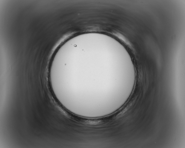 X0000086341325200704202053