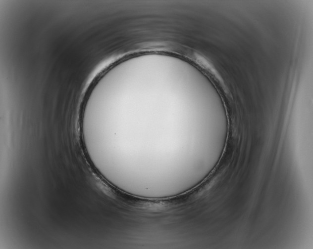 X0000086341328200704202053