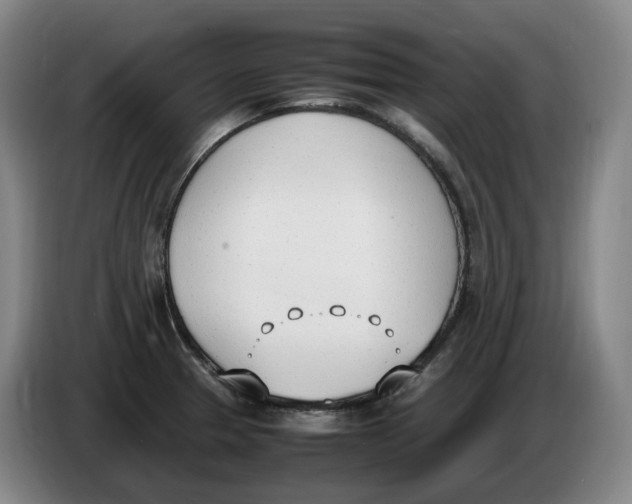 X0000086341329200704202053