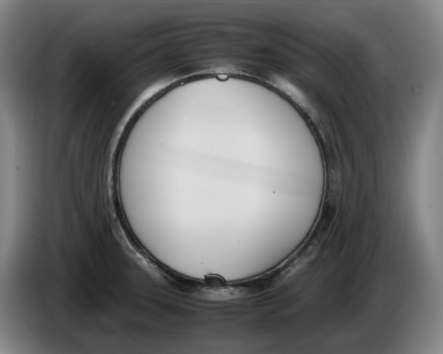 X0000086341331200704202053