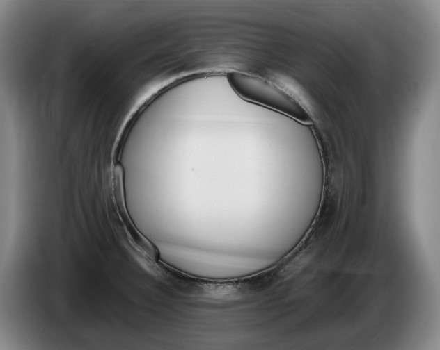 X0000086341332200704202053