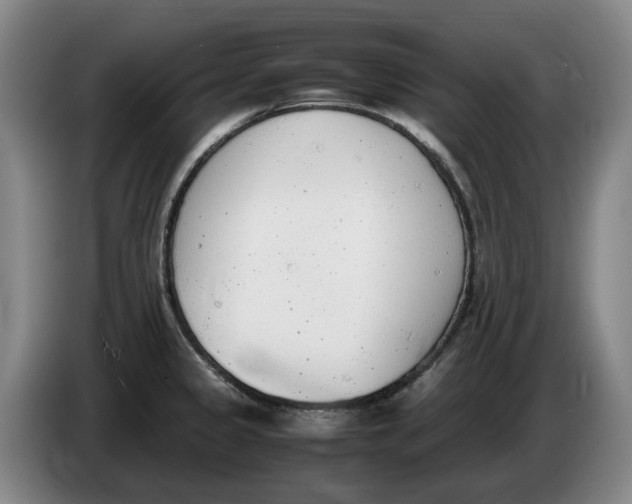 X0000086341333200704202053