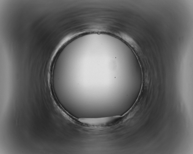 X0000086341334200704202053