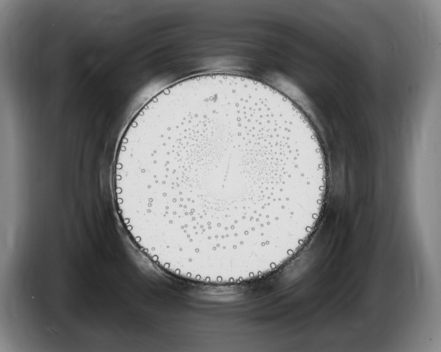X0000086341338200704202054