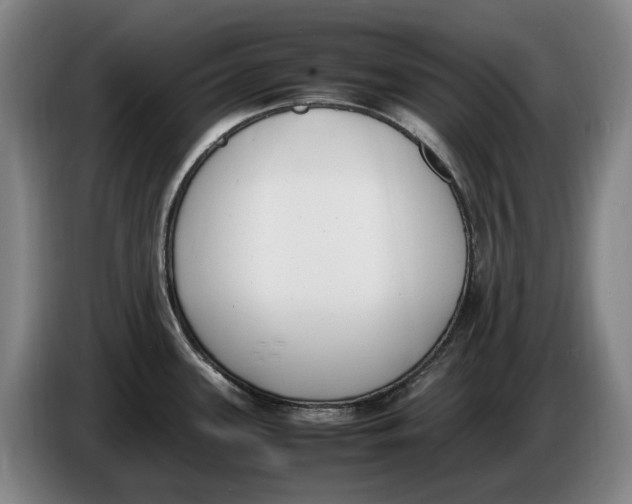 X0000086341339200704202054