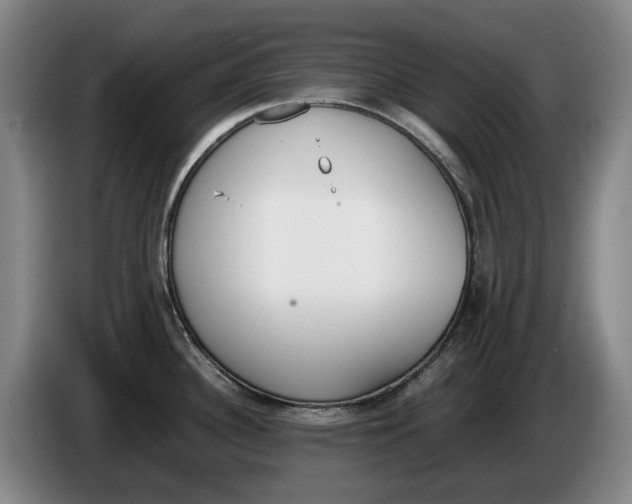 X0000086341340200704202054
