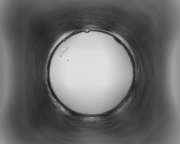 X0000086341341200704202054