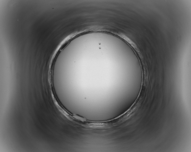 X0000086341342200704202054