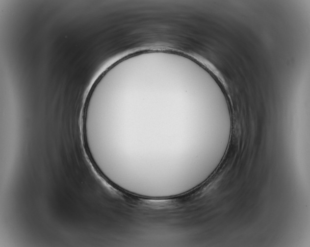 X0000086341343200704202054